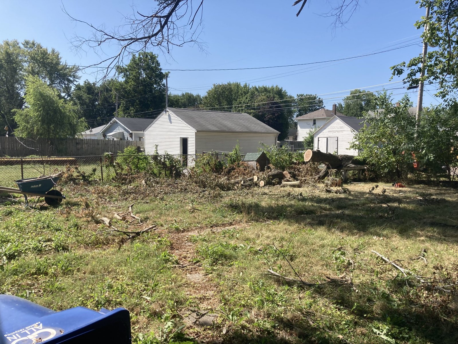 Storm Debris Cleanup