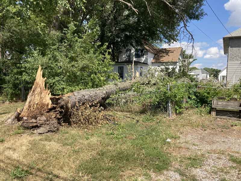Delta-X removing tree debris in the Quad Cities - Davenport, Iowa.